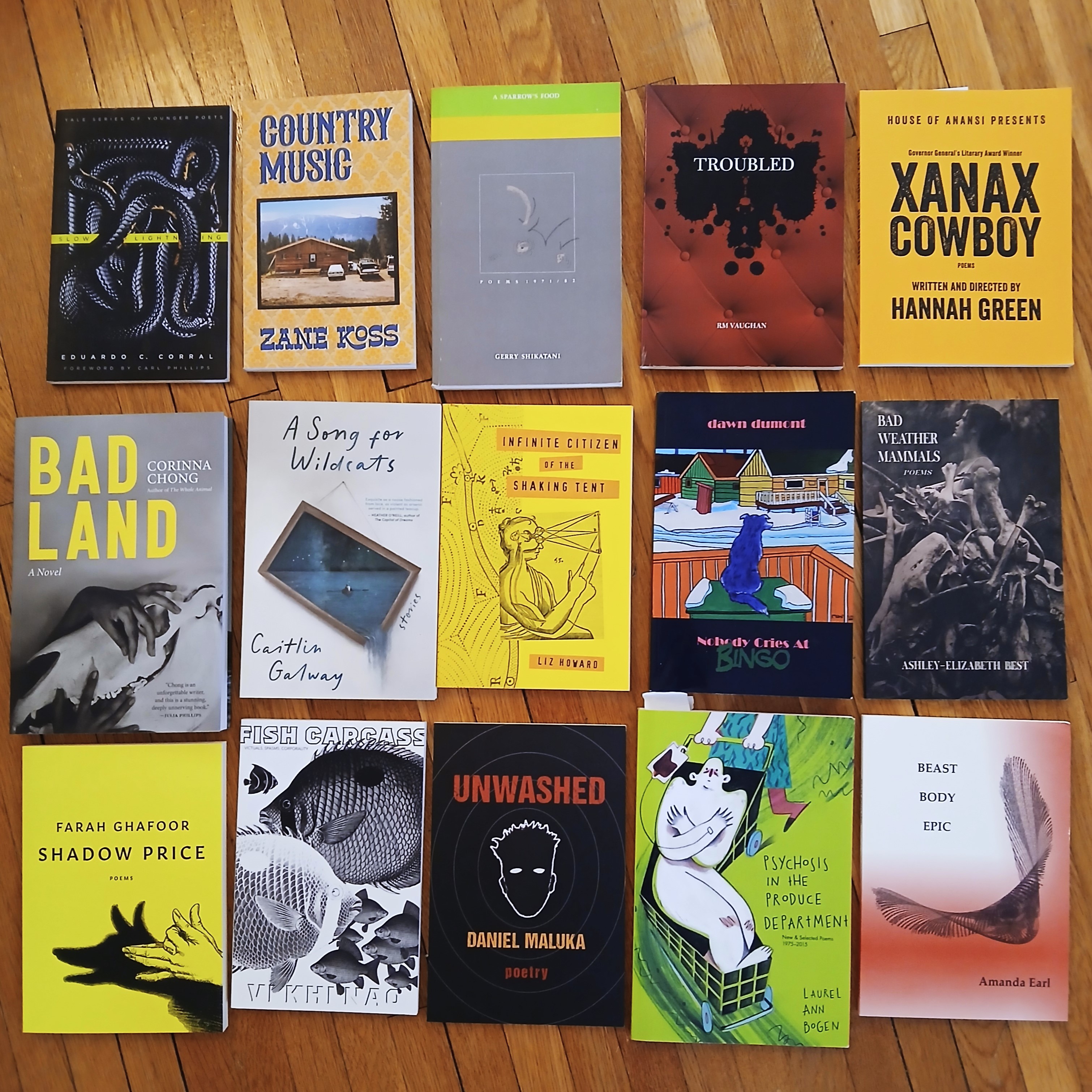 A selection of 15 books from the list below, laid out on a hardwood floor. 